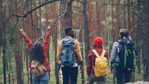 Read more about the article Best Hiking Backpacks of 2026: 13 Top Picks for Every Trail and Budget